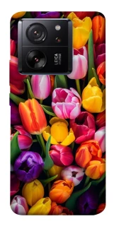 Чехол на Xiaomi 13T Flowers v30 фото 1 из 1