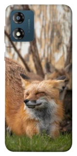 Чехол на Motorola Moto E13 Лиса фото 1 из 1