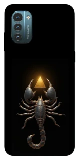 Чехол на Nokia G21 Scorpio with Golden Triangle фото 1 из 1