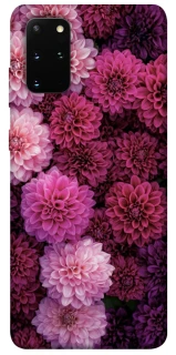 Чохол на Samsung Galaxy S20+ Garden1 фото 1 з 1