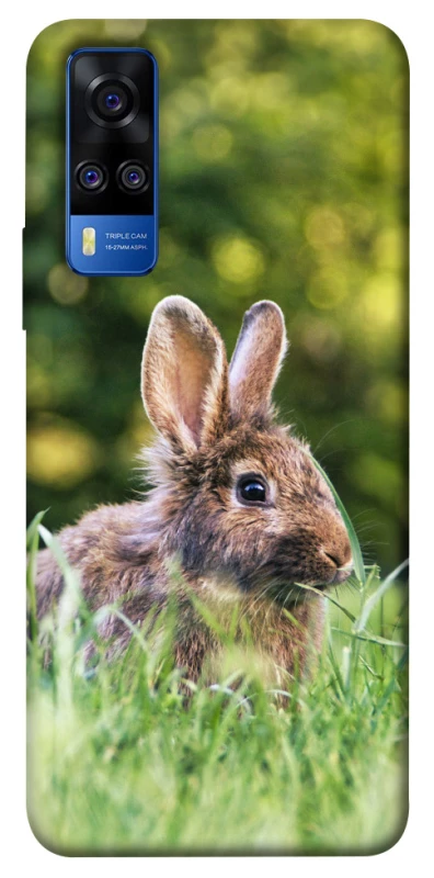 Чехол на Vivo Y51a Кролики фото 1 из 1