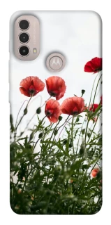Чехол на Motorola Moto E40 Поле маков фото 1 из 1
