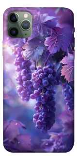 Чехол на Apple iPhone 11 Pro Max (6.5") Bunch of grapes фото 1 из 1