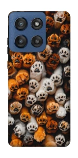 Чехол на Motorola Edge 60 Stylus Сat paws фото 1 из 1