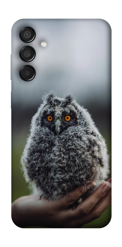 Чехол на Samsung Galaxy M15 5G Совёнок фото 1 из 1