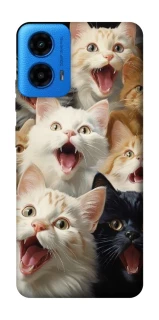 Чохол на Motorola Moto G45 Коти фото 1 з 1