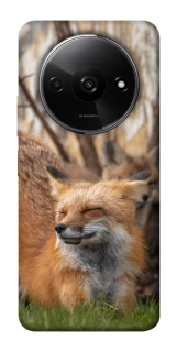 Чохол на Xiaomi Redmi A3 Лисиця фото 1 з 1