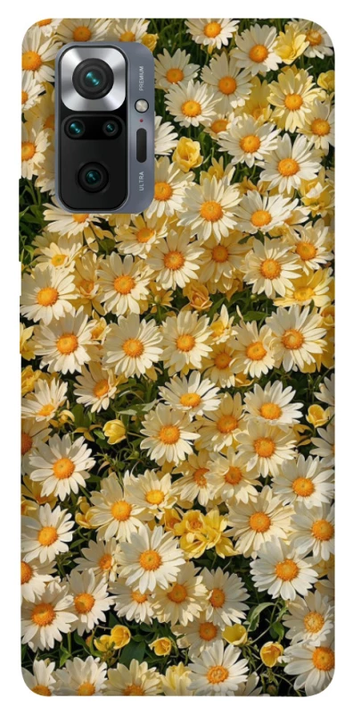 Чехол на Xiaomi Redmi Note 10 Pro Camomile фото 1 из 1