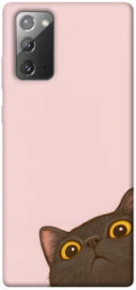 Чехол на Samsung Galaxy Note 20 Peeping cat фото 1 Чехол на Samsung Galaxy Note 20 Peeping cat фото 1 из 1