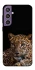Чехол на Samsung Galaxy S23 FE Leopard v4 фото 1 из 1