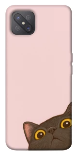 Чехол на Oppo A92s Peeping cat фото 1 Чехол на Oppo A92s Peeping cat фото 1 из 1