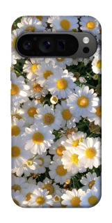 Чохол на Google Pixel 9 Pro Поле ромашок фото 1 з 1