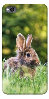 Чохол на Xiaomi Redmi 4a Кролики фото 1 з 1