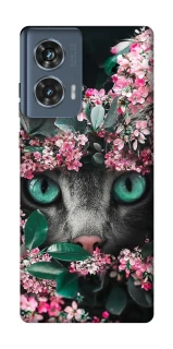 Чохол на Motorola Edge 50 Кіт в квітах фото 1 з 1