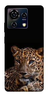 Чехол на ZTE Blade V50 Vita Leopard v4 фото 1 из 1