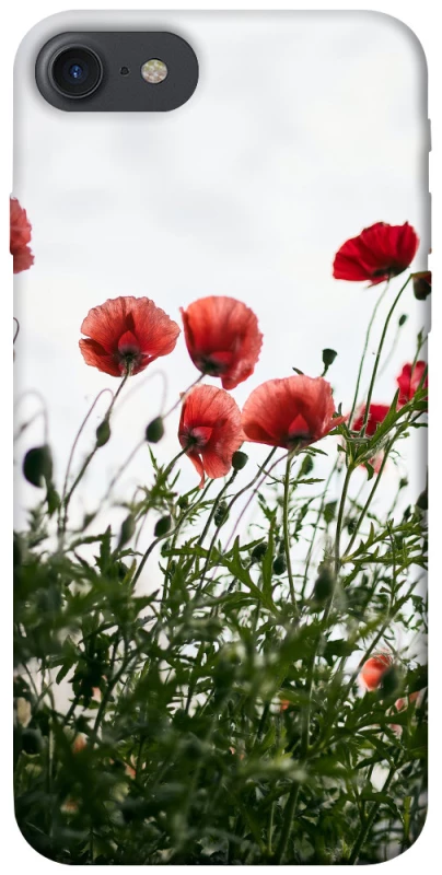Чохол на Apple iPhone 7 / 8 (4.7") Поле маків фото 1 з 1