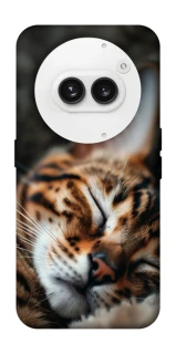 Чохол на Nothing Phone (2a) Cat paws фото 1 з 1