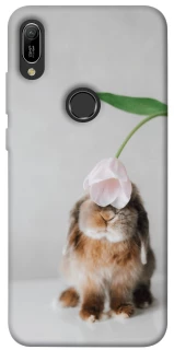 Чохол на Huawei Y6 (2019) Bunny фото 1 з 1