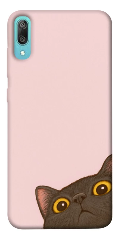 Чохол на Huawei Y6 Pro (2019) Peeping cat фото 1 з 1