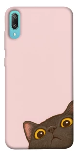 Чохол на Huawei Y6 Pro (2019) Peeping cat фото 1 з 1