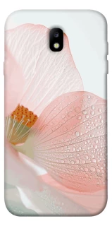 Чохол на Samsung J730 Galaxy J7 (2017) Flowers zon фото 1 Чохол на Samsung J730 Galaxy J7 (2017) Flowers zon фото 1 з 1