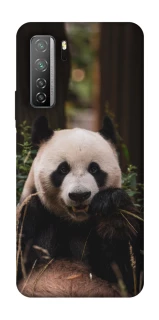 Чехол на Huawei Nova 7 SE Панда фото 1 из 1