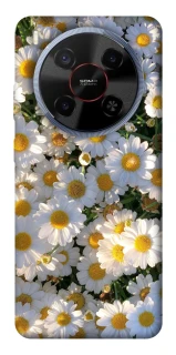 Чехол на ZTE Blade V70 Max Поле ромашек фото 1 из 1