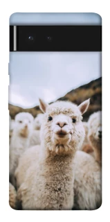 Чохол на Google Pixel 6 Лама фото 1 з 1