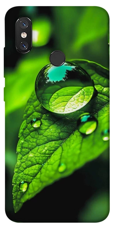 Чохол на Xiaomi Mi 8 Flowers v16 фото 1 з 1