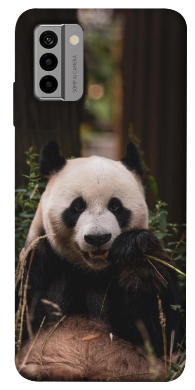 Чехол на Nokia G22 Панда фото 1 из 1