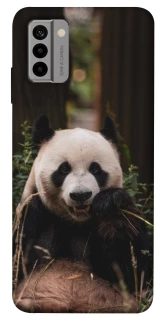 Чехол на Nokia G22 Панда фото 1 из 1