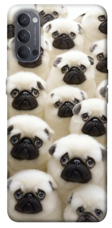 Чохол на Oppo Reno 4 Doggy Pug Love фото 1 з 1