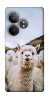 Чохол на Realme GT Neo 6 SE Лама фото 1 з 1