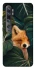 Чохол на Xiaomi Mi Note 10 / Note 10 Pro / Mi CC9 Pro Fox фото 1 з 1