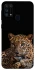 Чехол на Samsung Galaxy M31 Leopard v4 фото 1 из 1
