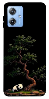 Чехол на Motorola Moto G84 Panda and tree фото 1 из 1
