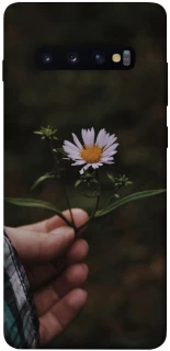 Чехол на Samsung Galaxy S10+ Ромашка v4 фото 1 из 1