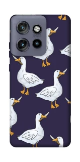 Чохол на Motorola Edge 50 Neo Гуси з претензією фото 1 з 1