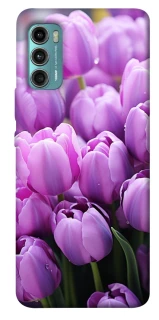 Чехол на Motorola Moto G60 Фиолетовые тюльпаны фото 1 из 1