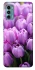 Чехол на Motorola Moto G60 Фиолетовые тюльпаны фото 1 из 1
