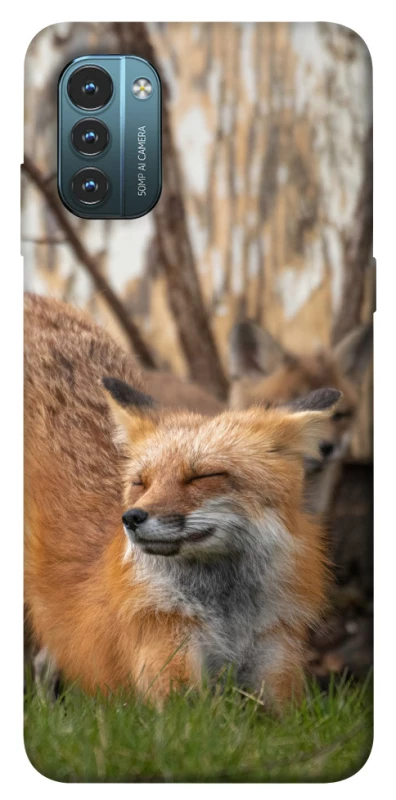 Чохол на Nokia G21 Лисиця фото 1 з 1