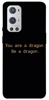 Чохол на OnePlus 9 Pro House of the Dragon ver.9 фото 1 з 1
