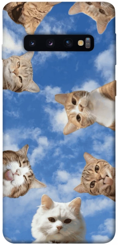 Чохол на Samsung Galaxy S10 Сats фото 1 з 1