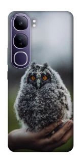 Чехол на Vivo Y300 Совёнок фото 1 из 1