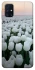 Чохол на Samsung Galaxy M31s Flowers v1 фото 1 з 1
