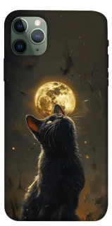 Чохол на Apple iPhone 11 Pro Max (6.5") Кіт під місяцем v2 фото 1 з 1