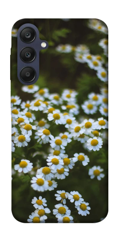 Чехол на Samsung Galaxy A25 5G Ромашки v13 фото 1 из 1