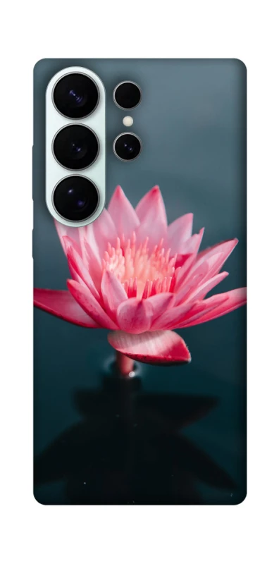 Чохол на Samsung Galaxy S26 Pro Лотос фото 1 з 1