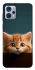 Чехол на Motorola Moto G23 Чехол Котёнок фото 1 из 1