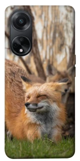 Чехол на Oppo A58 4G Лиса фото 1 из 1